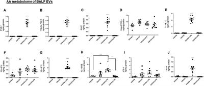 The calcineurin–NFATc pathway modulates the lipid mediators in BAL fluid extracellular vesicles, thereby regulating microvascular endothelial cell barrier function